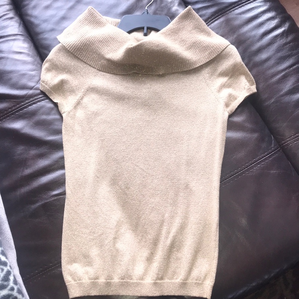 Express Gold short sleeve wide turtleneck shirt.
